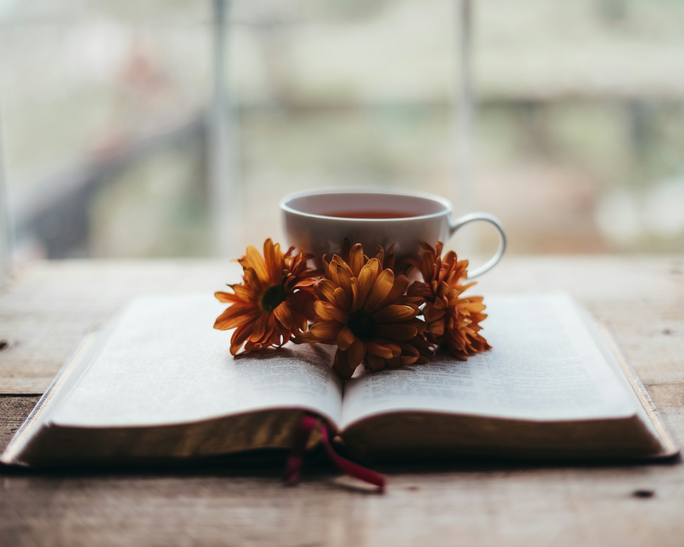 A cup of tea and autumn flowers resting on an open book by a window
